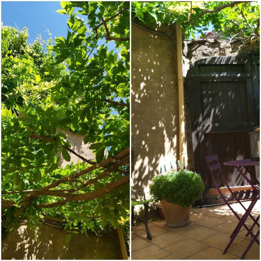 Le Chateau Camps-sur-l'Agly Bagian luar foto