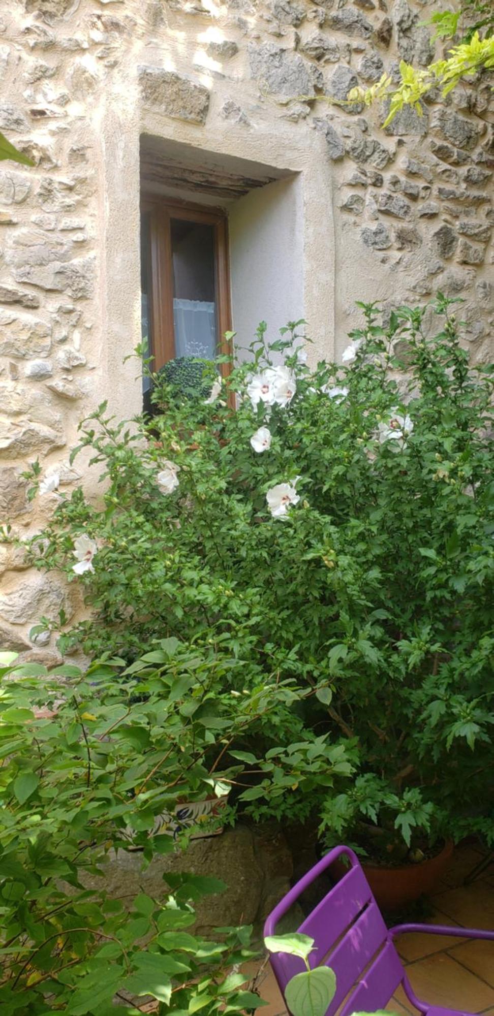 Le Chateau Camps-sur-l'Agly Bagian luar foto