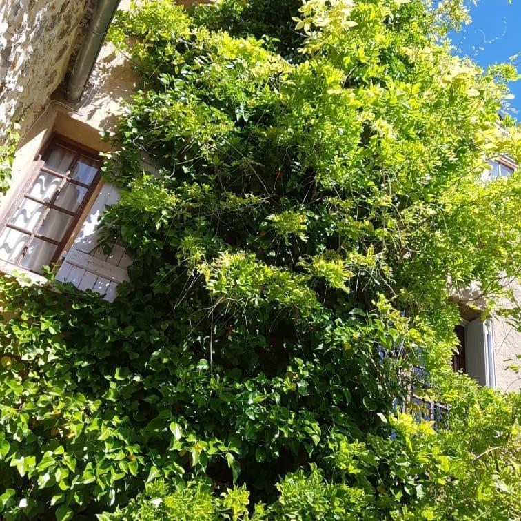 Le Chateau Camps-sur-l'Agly Bagian luar foto